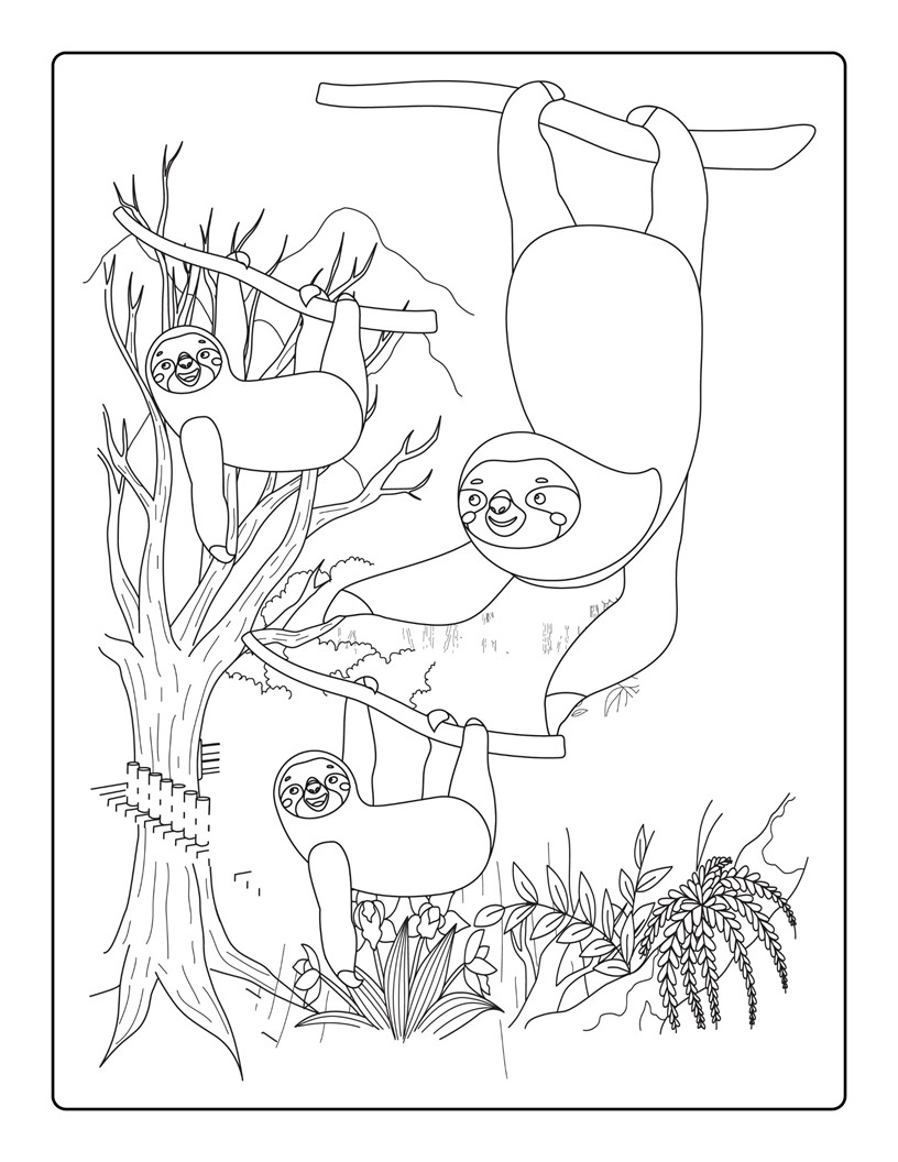 Coloriage de paresseux de style dessin animé pour les enfants
