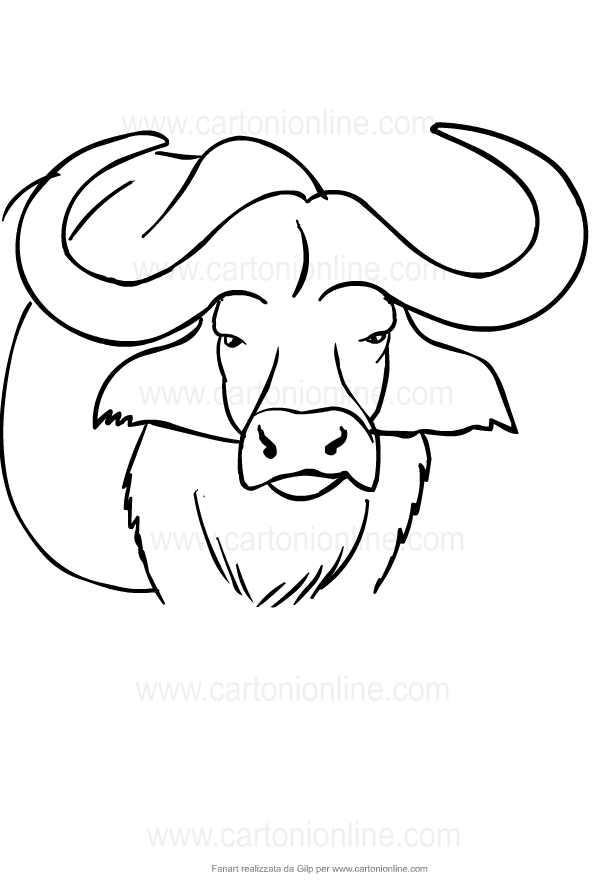 Dibujo de búfalo para imprimir y colorear