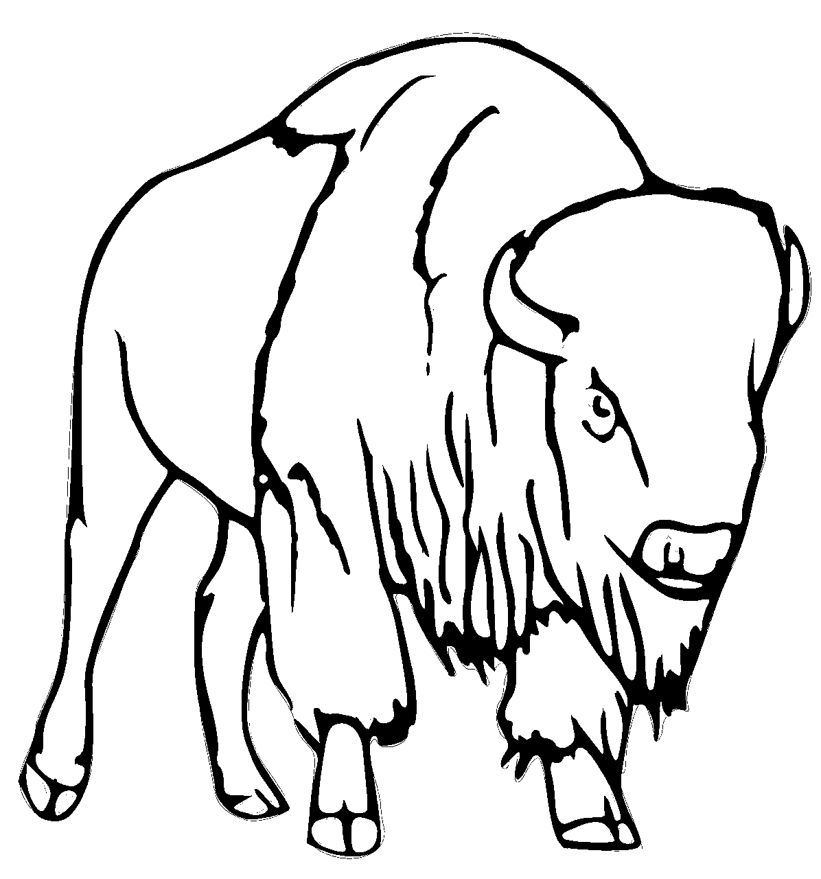 Disegno da colorare di bufalo frontale