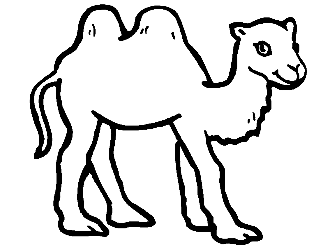 Camellos para imprimir y colorear