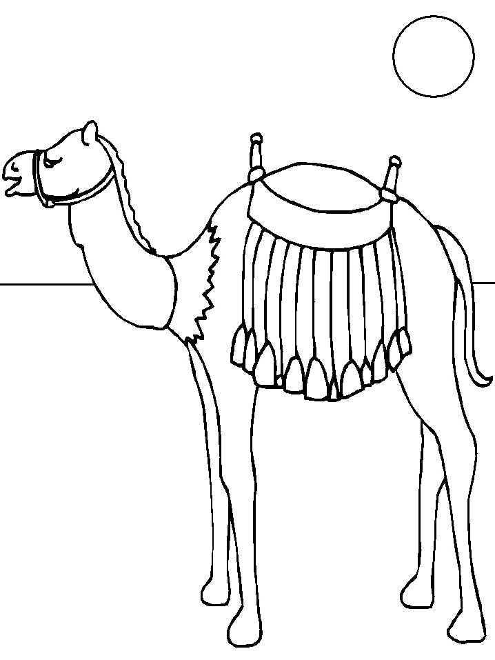 Dibujo 10 de camellos para imprimir y colorear