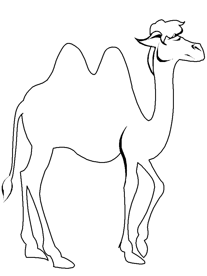 Desenho 14 de camelos para imprimir e colorir