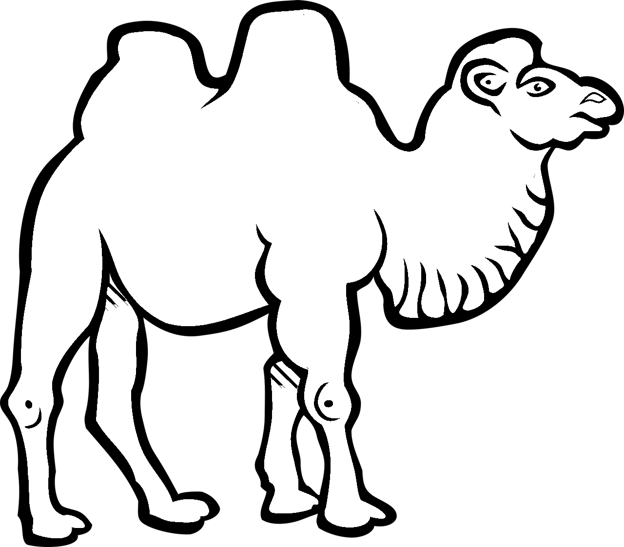 Disegno da colorare di cammello clipart