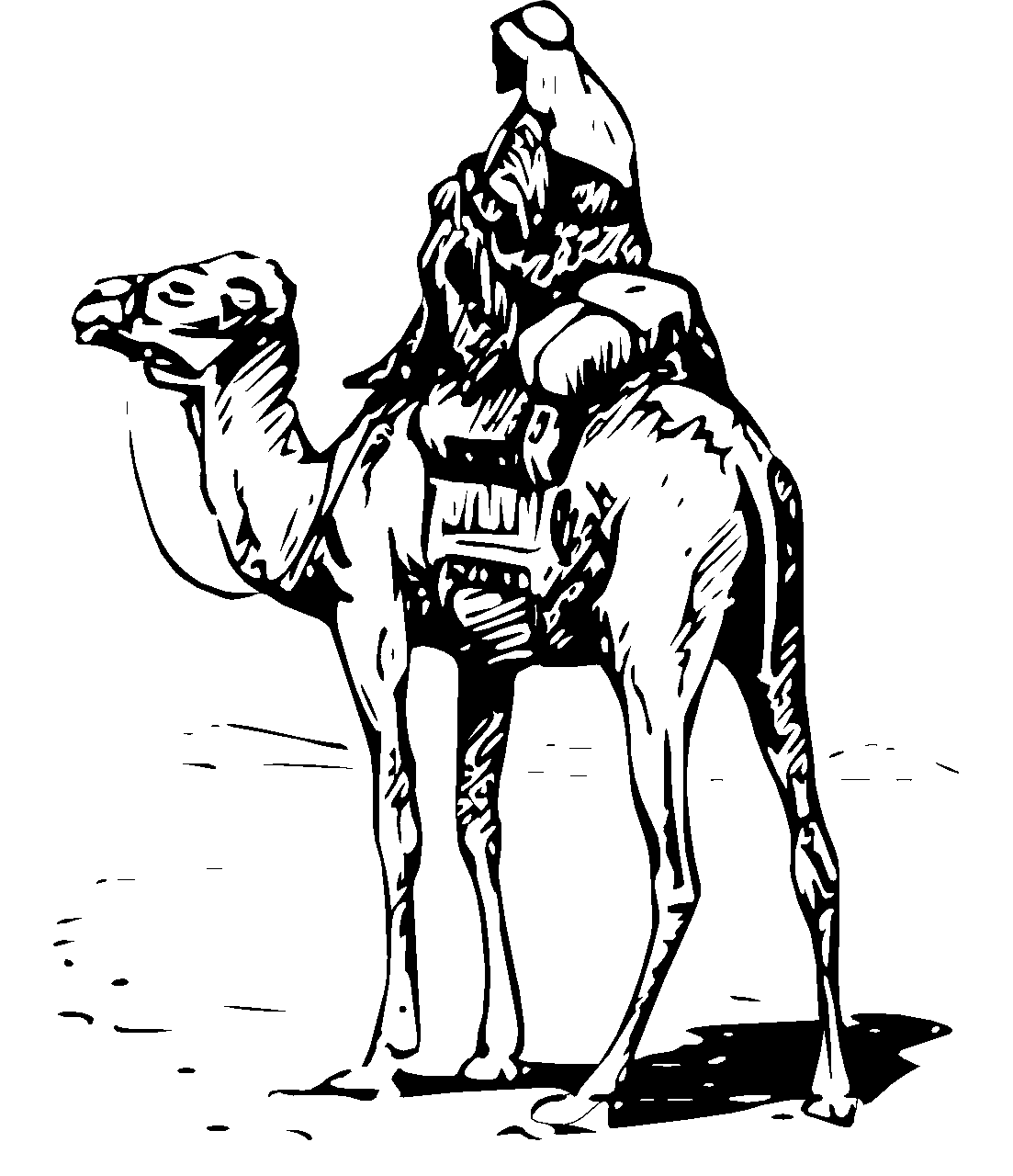 Disegno da colorare di cammello con uomo