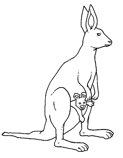 Coloriage 4 des kangourous  imprimer et colorier