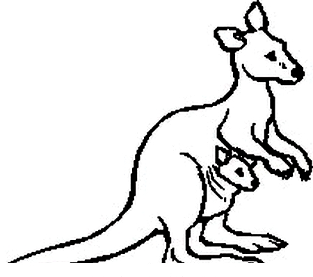 Drawing 12 from Kangaroos coloring page to print and coloring