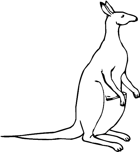 Coloriage 13 des kangourous  imprimer et colorier