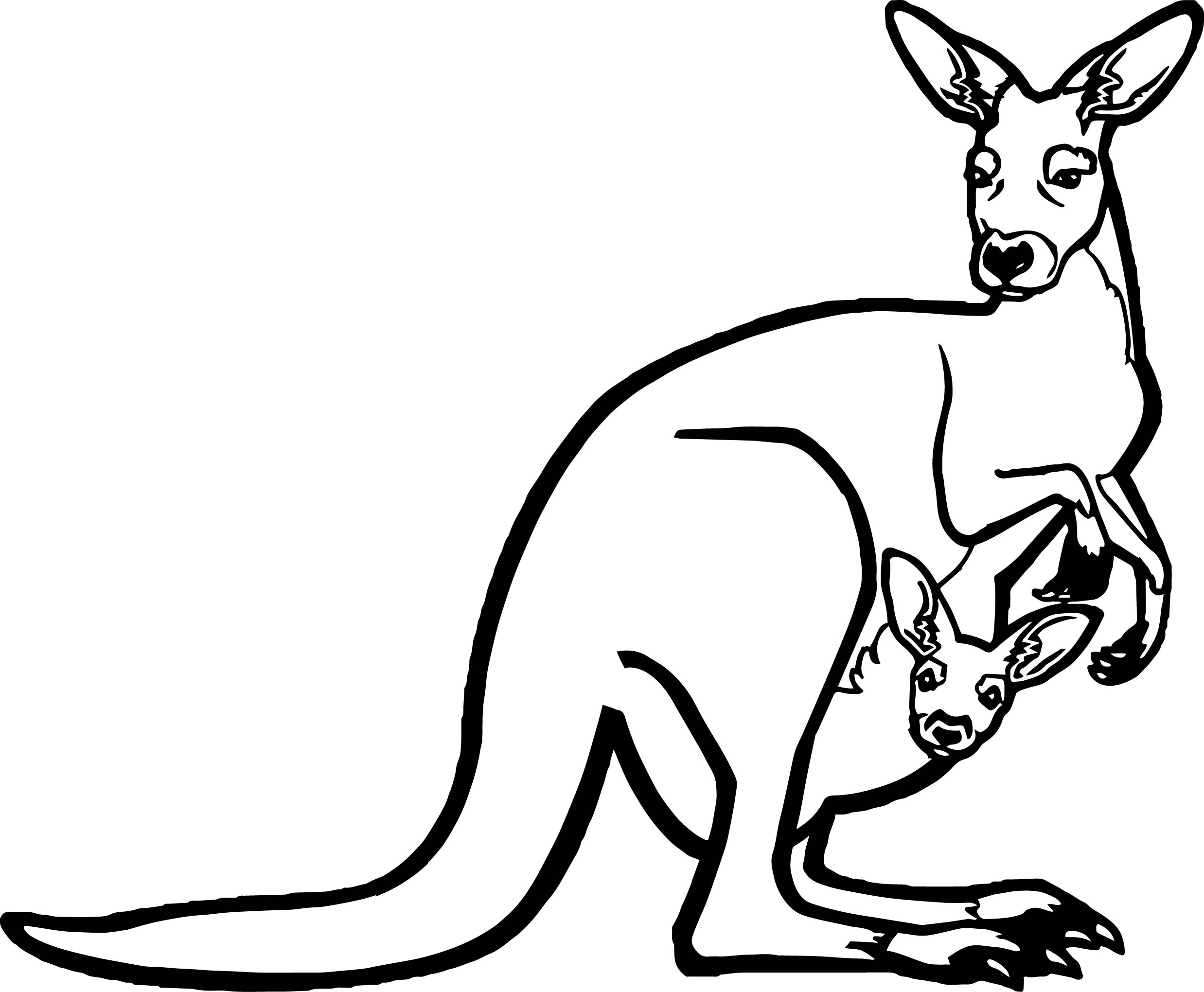 Coloriage 19 des kangourous  imprimer et colorier