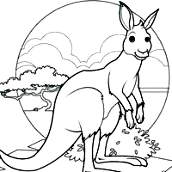 Coloriage 23 des kangourous  imprimer et colorier