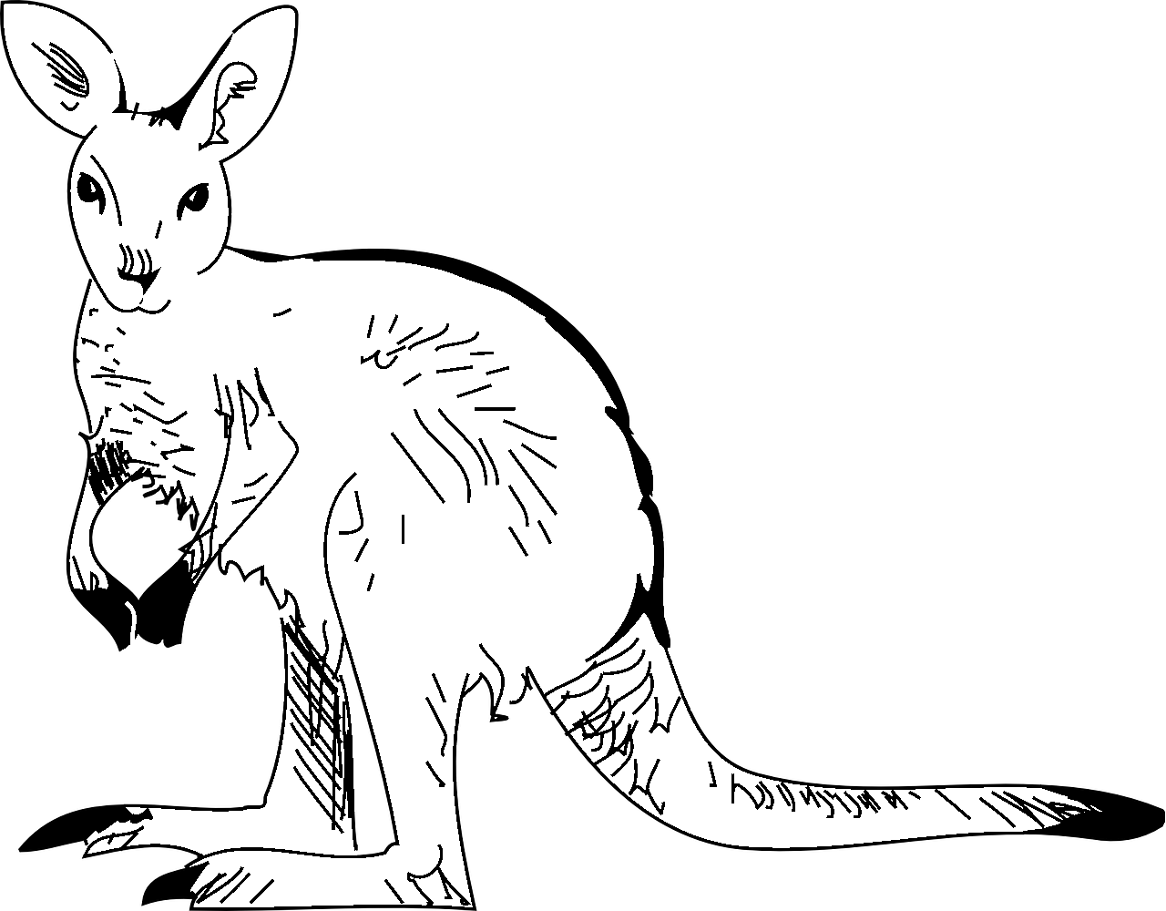 Stylized kangaroo head coloring page