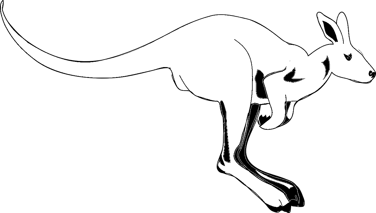 Stylized jumping kangaroo head coloring page