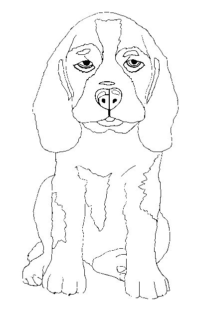 Disegno da colorare di cane Beagle seduto frontale