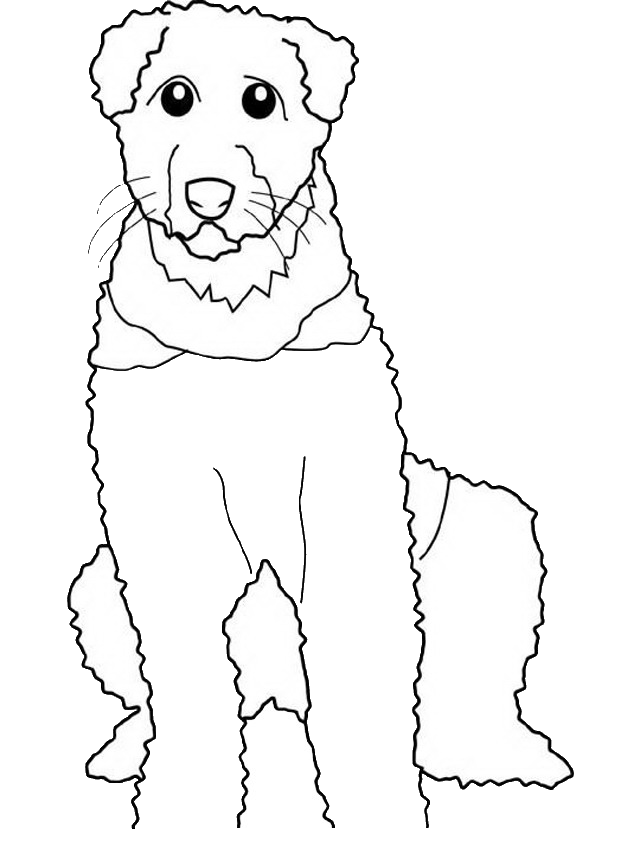 Disegno da colorare di cane Airedale stile cartone animato