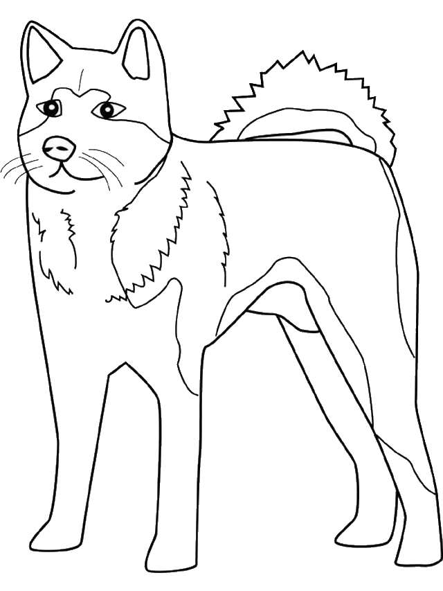 Pagina de colorat în stilul desene animate câine Akita