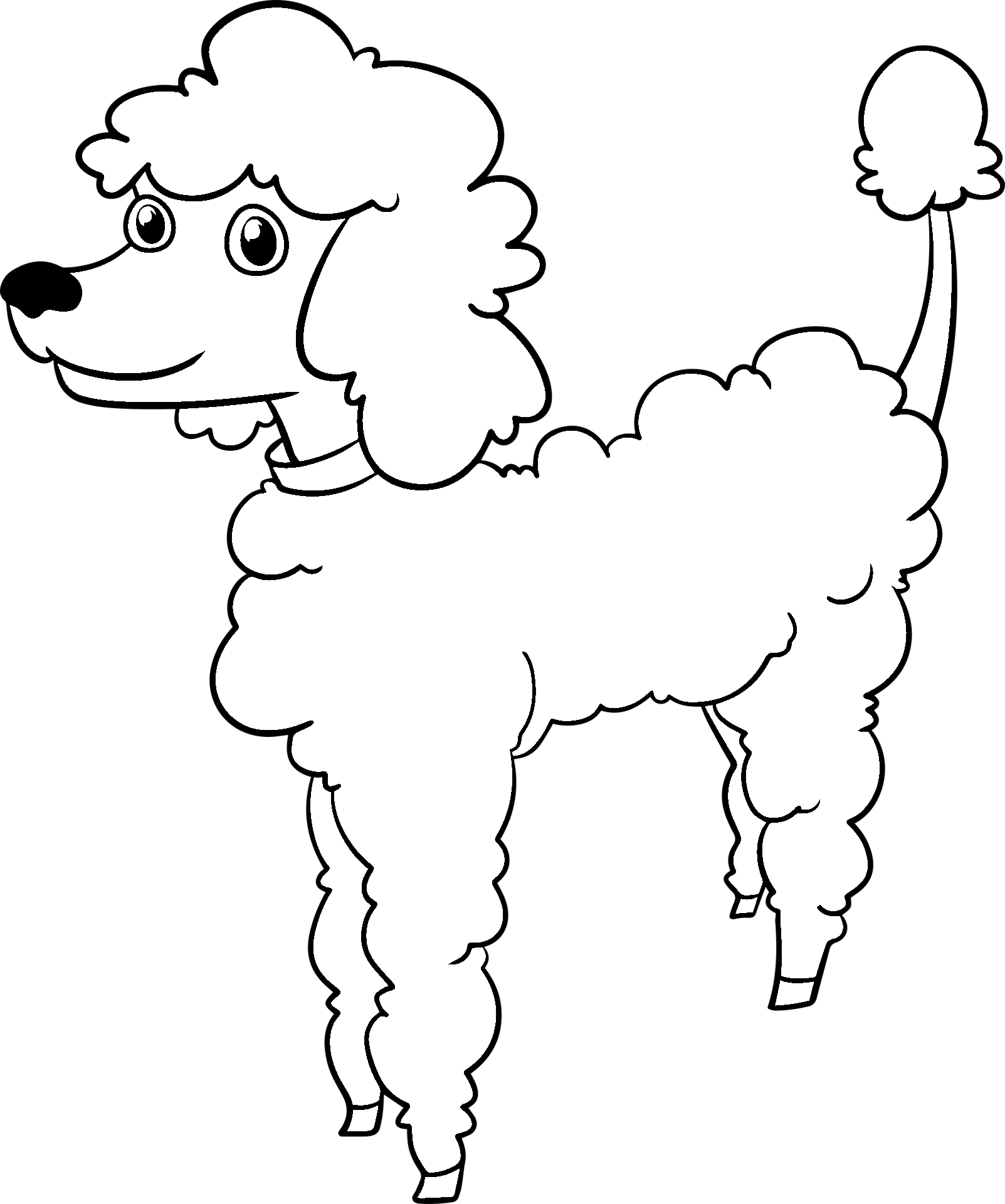 Disegno da colorare di cane barboncino stile cartone animato