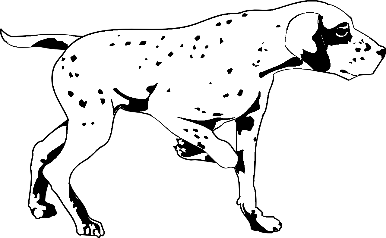 Disegno da colorare di cucciolo di cane da punta Dalmata