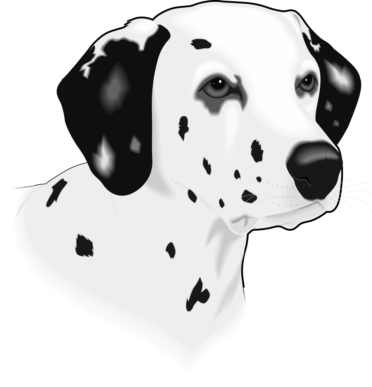 Disegno da colorare di testa di cane Dalmata