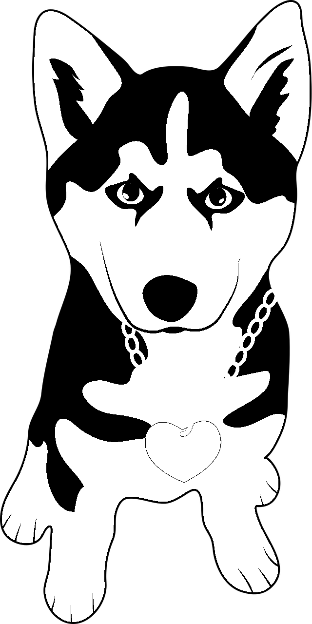 Dibujo de cachorro de perro husky frontal para colorear