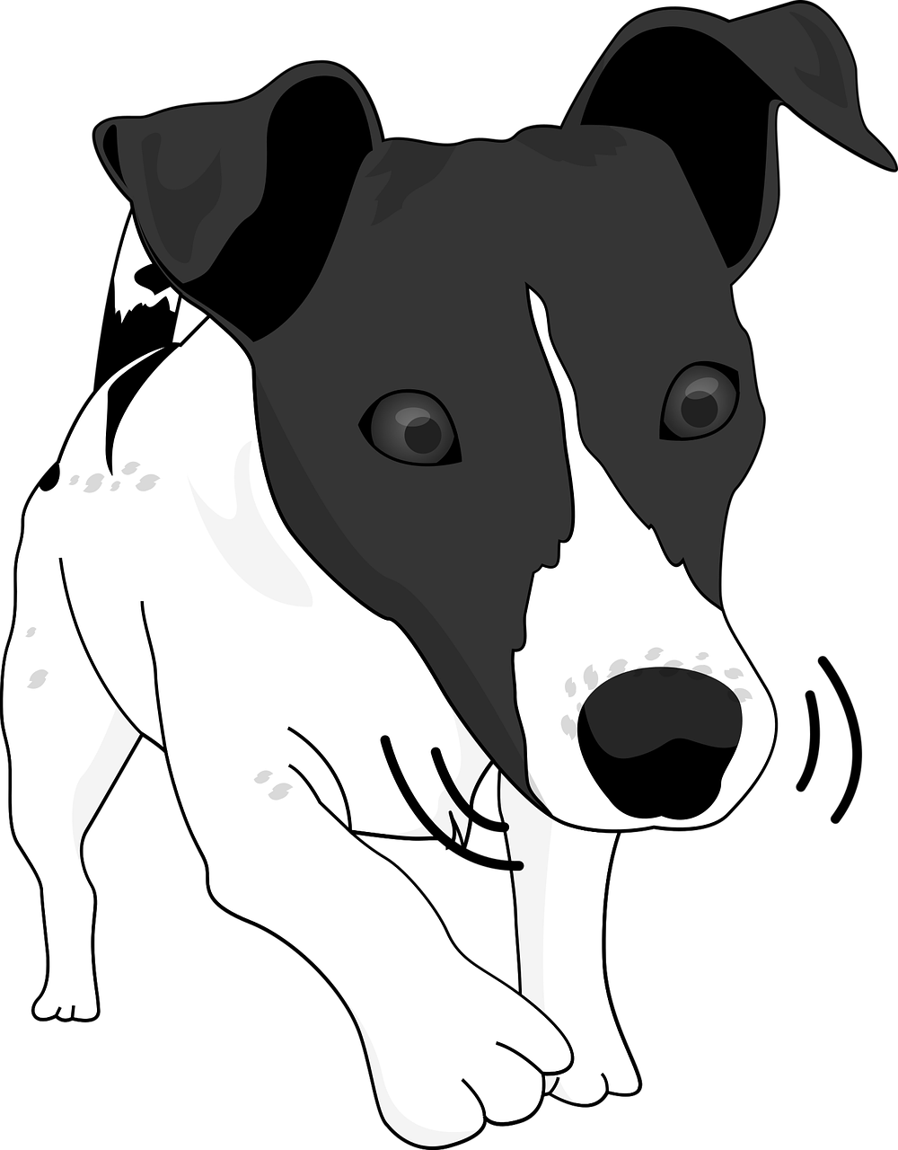 Dibujo de Perro Jack Russel olfateando para colorear