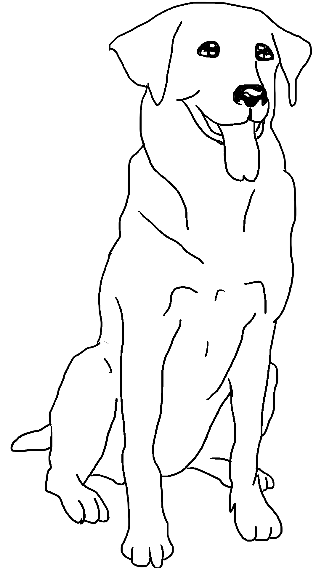 Disegno da colorare di testa di cane Labrador seduto