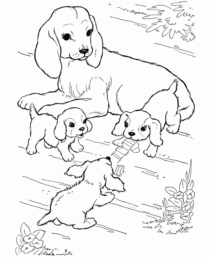 Página para colorear de cachorros cocker jugando con su mamá