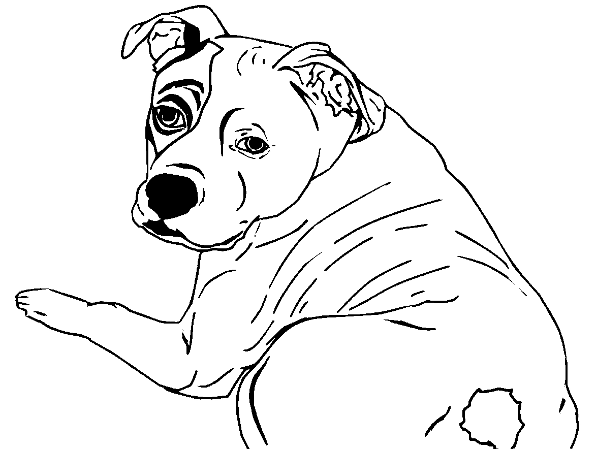 横になっているピットブル犬のぬりディセグノを描く