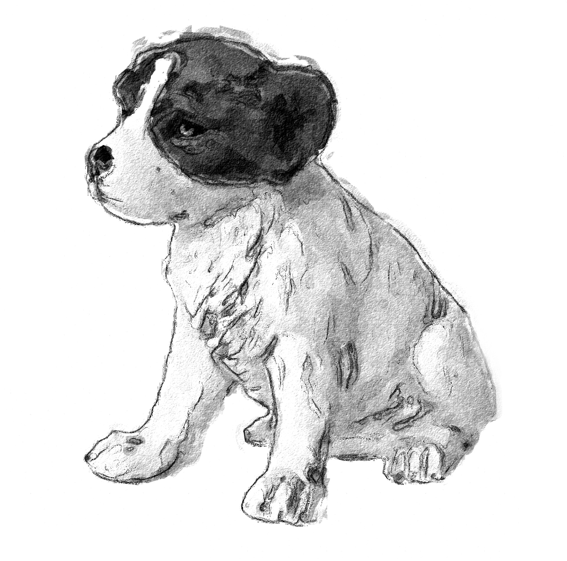 Disegno da colorare di ritratto di cucciolo di cane
