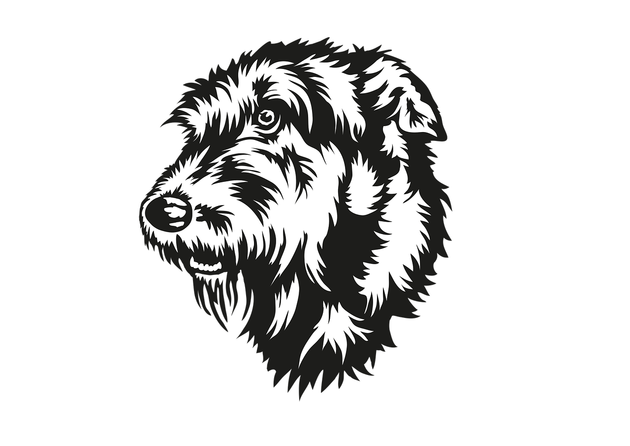 Dibujo de cabeza de perro fox terrier para colorear