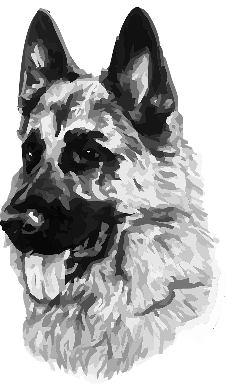 Pagina de colorat a portretului de câine ciobanesc german