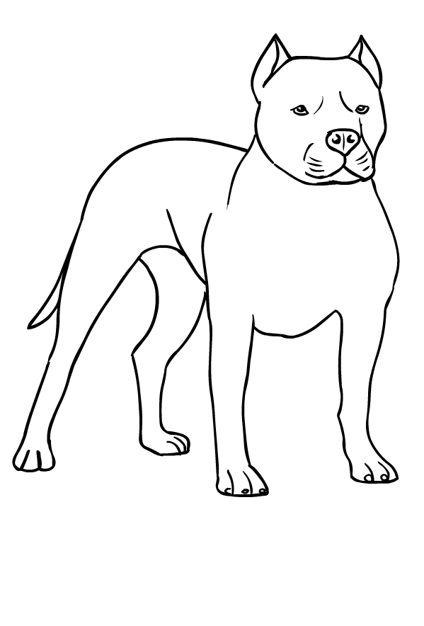 Disegno di cani da stampare e colorare