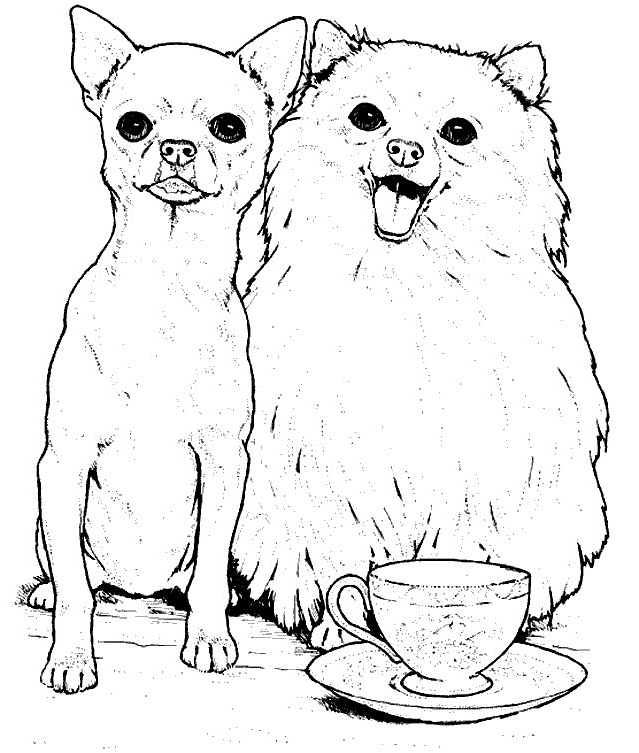 Drawing 14 from dogs coloring page to print and coloring