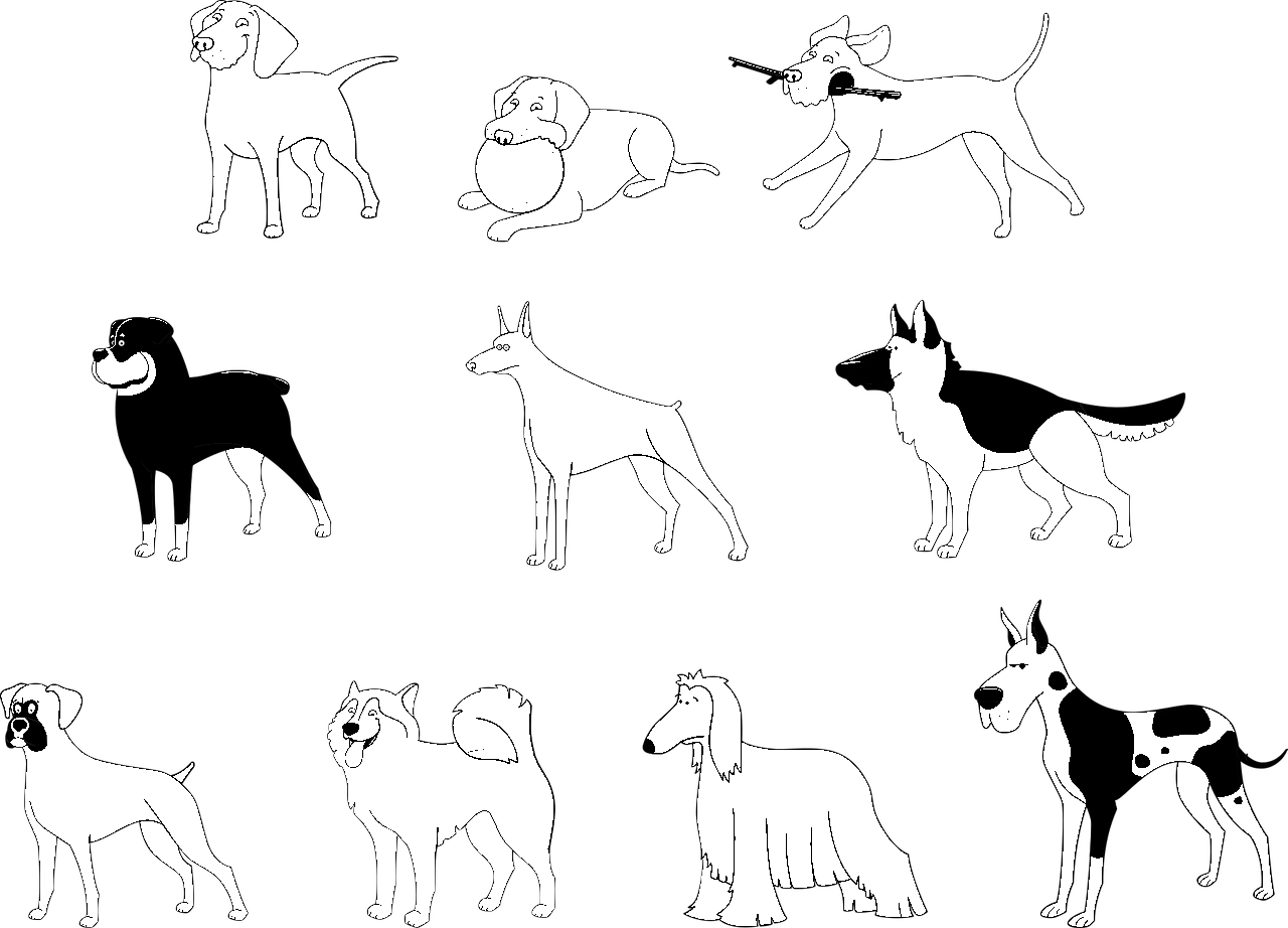 Pagina de colorat a câinilor de diferite rase