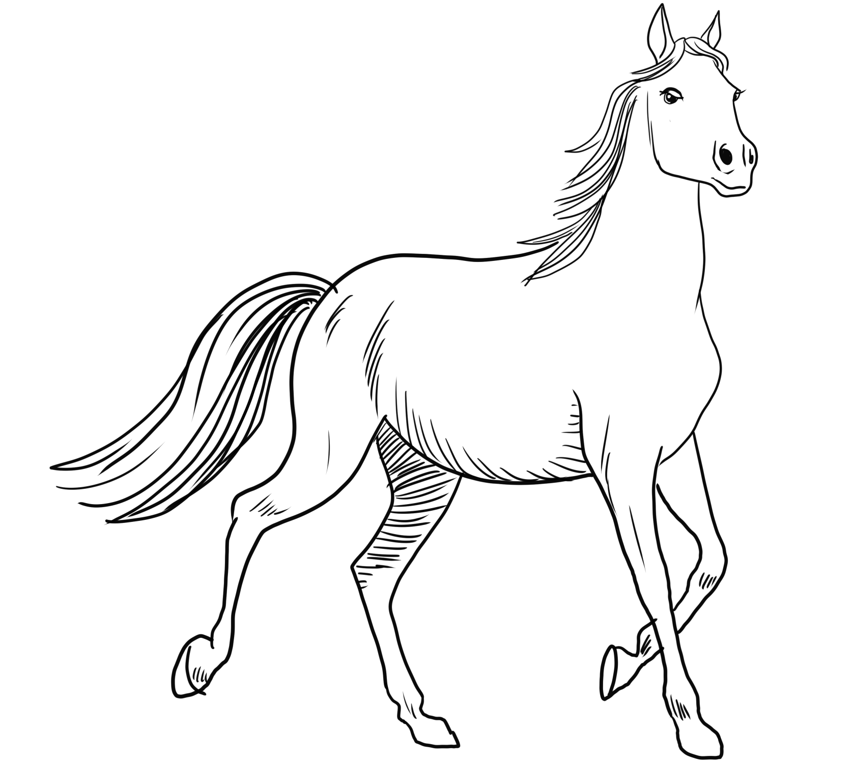 رسمة حصان عربي للتلوين