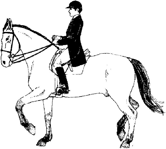 Drawing 1 from horses coloring page to print and coloring