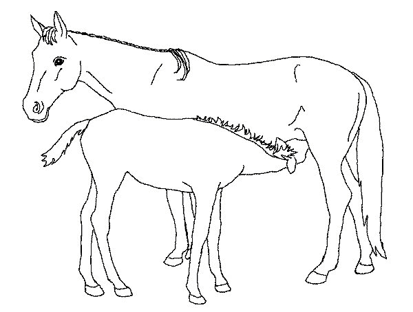 Drawing 9 of horses to print and color