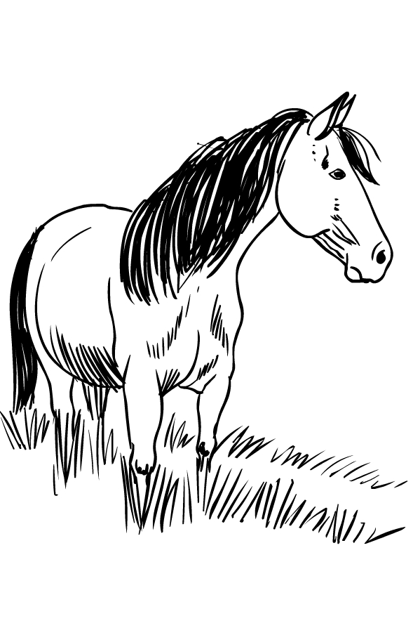 Disegno di cavalli da stampare e colorare