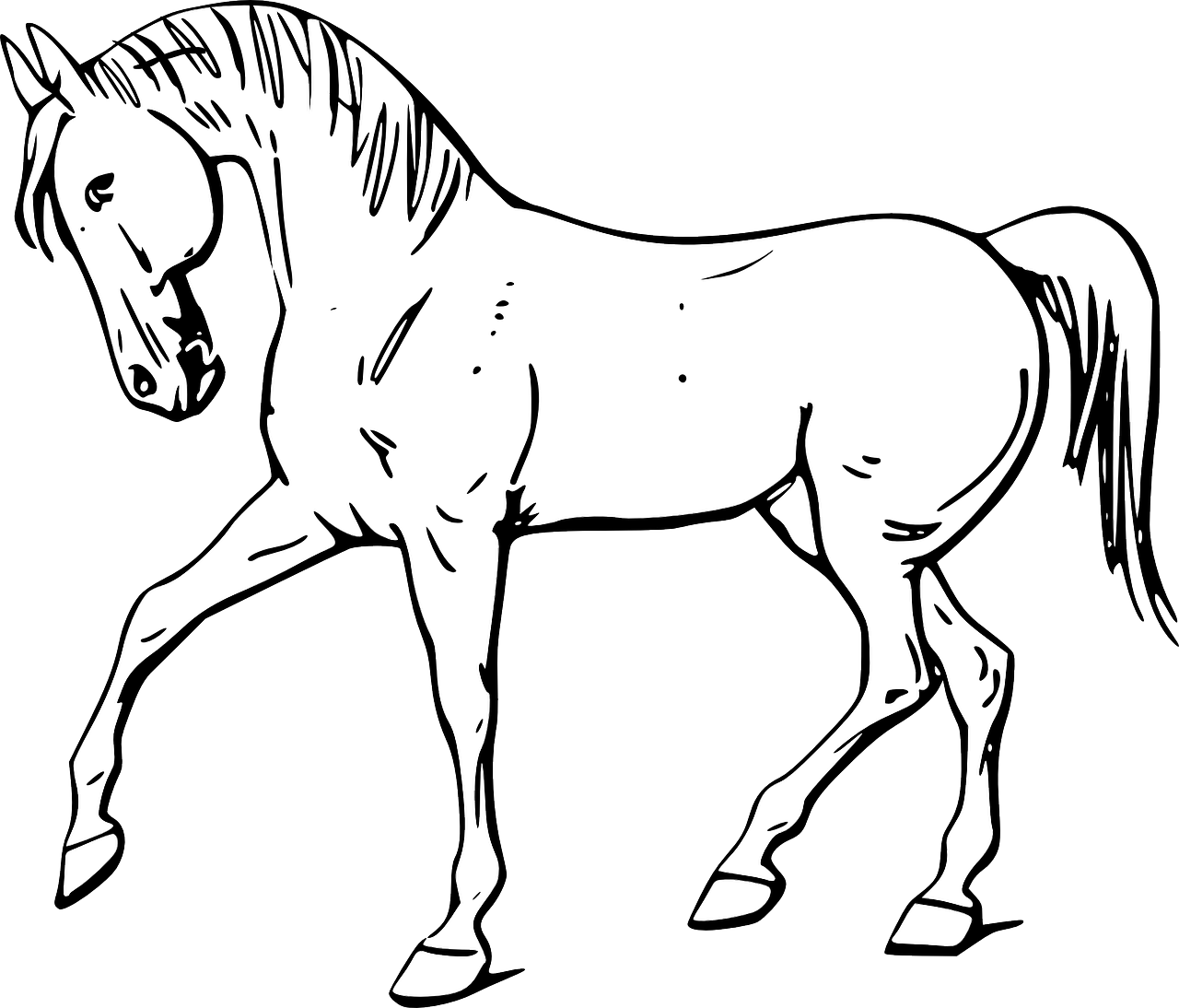 Dibujo de caballo caminando para colorear