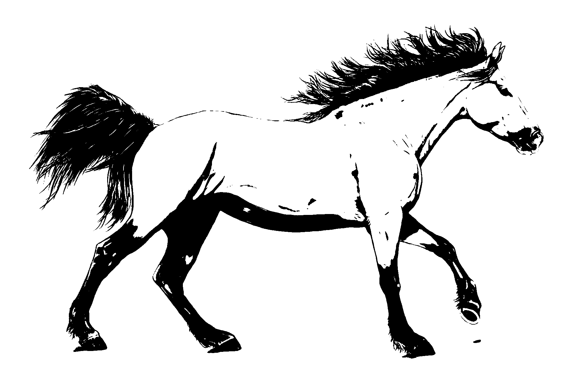 疾走する馬のぬり絵を描く