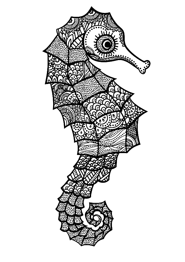 Drawing 5 from Seahorses coloring page to print and coloring