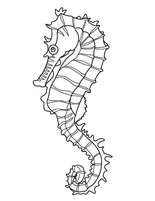 Coloriage 13 de Hippocampes  imprimer et colorier