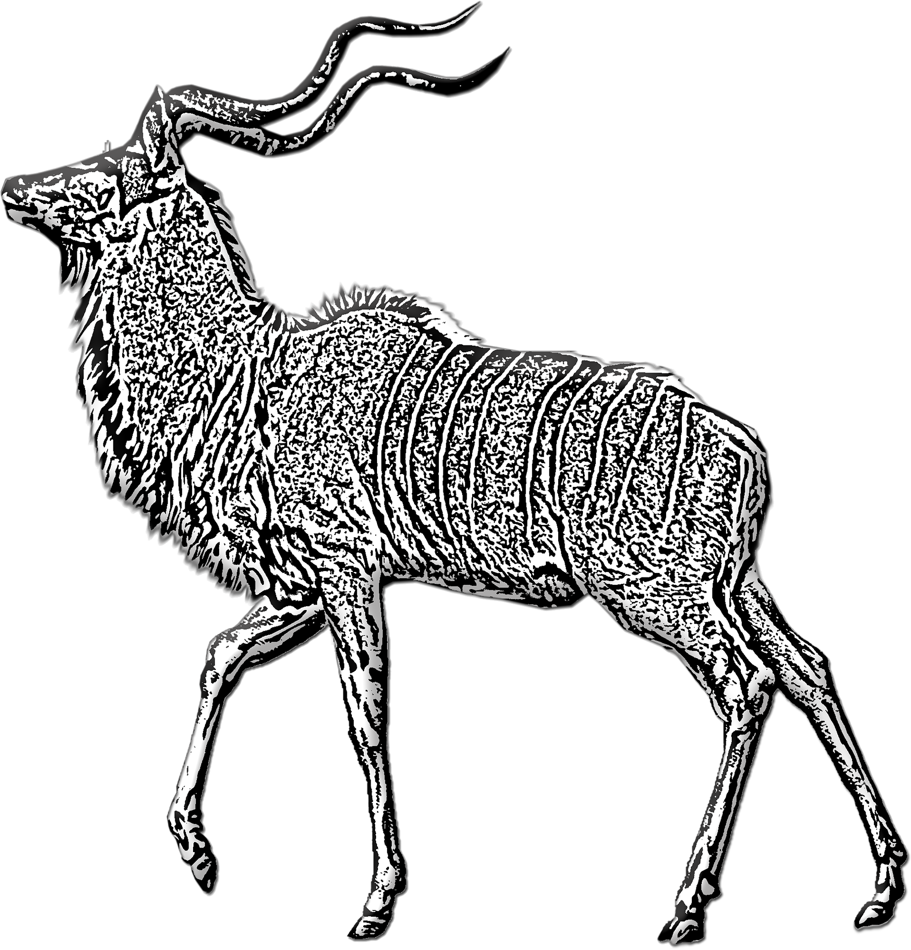 Disegno da colorare di cervo antilope