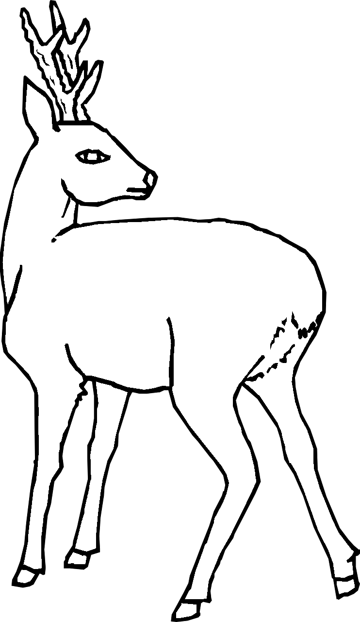 Disegno da colorare di testa di cervo con sguardo all'indietro