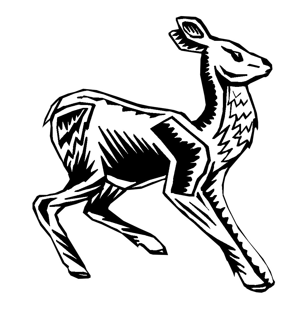 Disegno da colorare di giovane cervo stilizzato