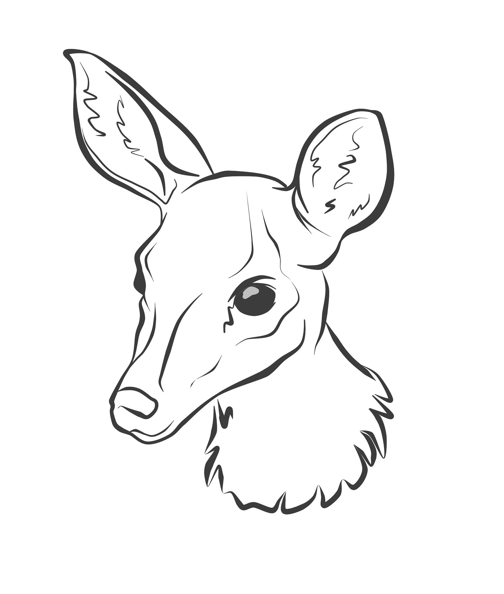 Disegno da colorare di testa di cervo