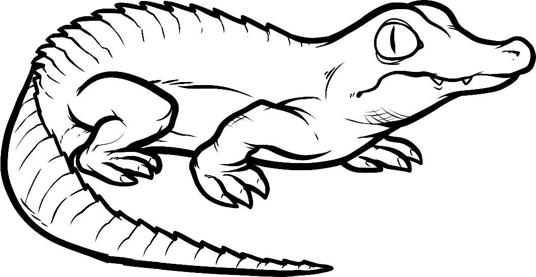 Desenho 15 de crocodilos para imprimir e colorir