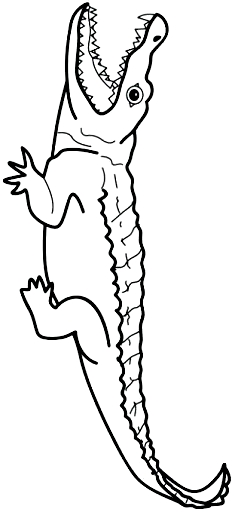 Desenho 23 de crocodilos para imprimir e colorir