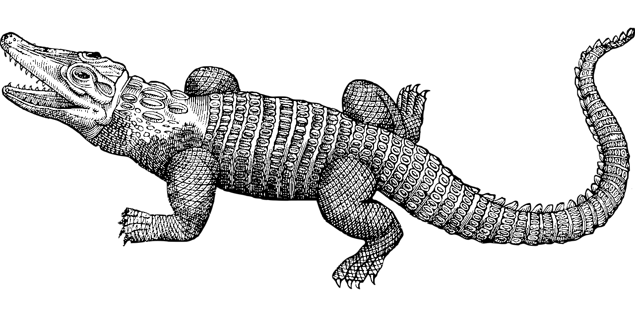 Kleurplaat van een krokodil