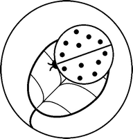 Ladybird coloring page