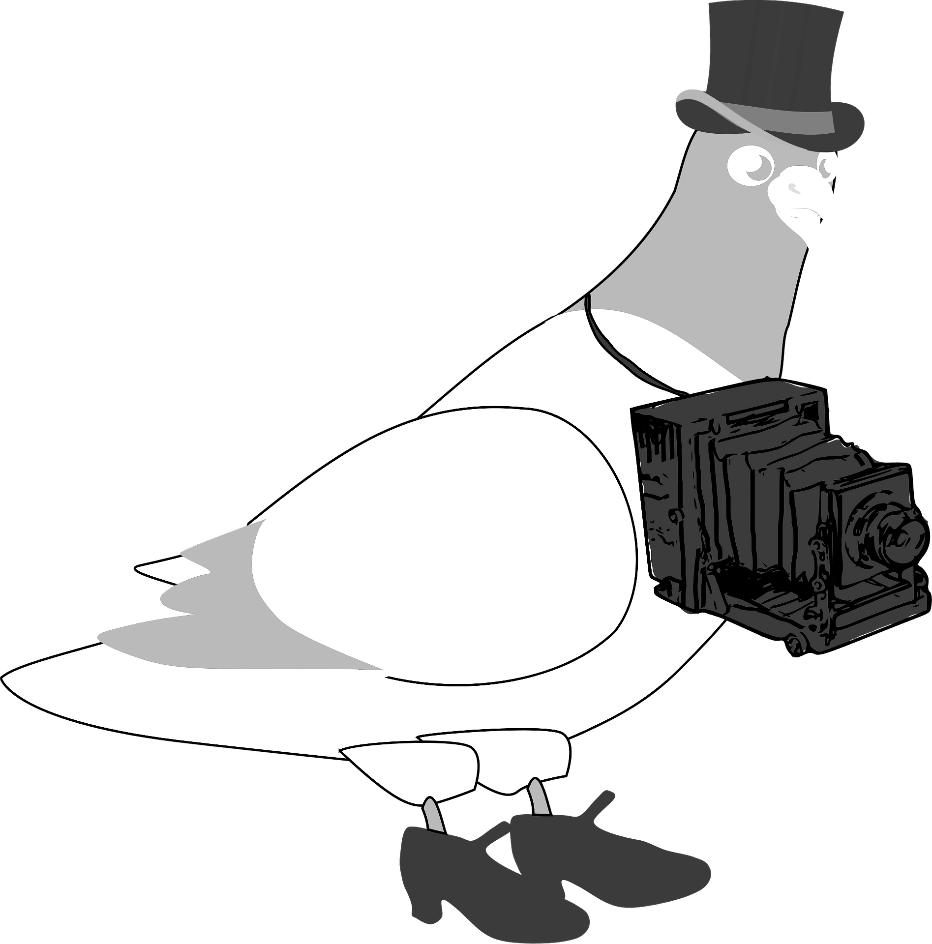 Coloring page of a dove