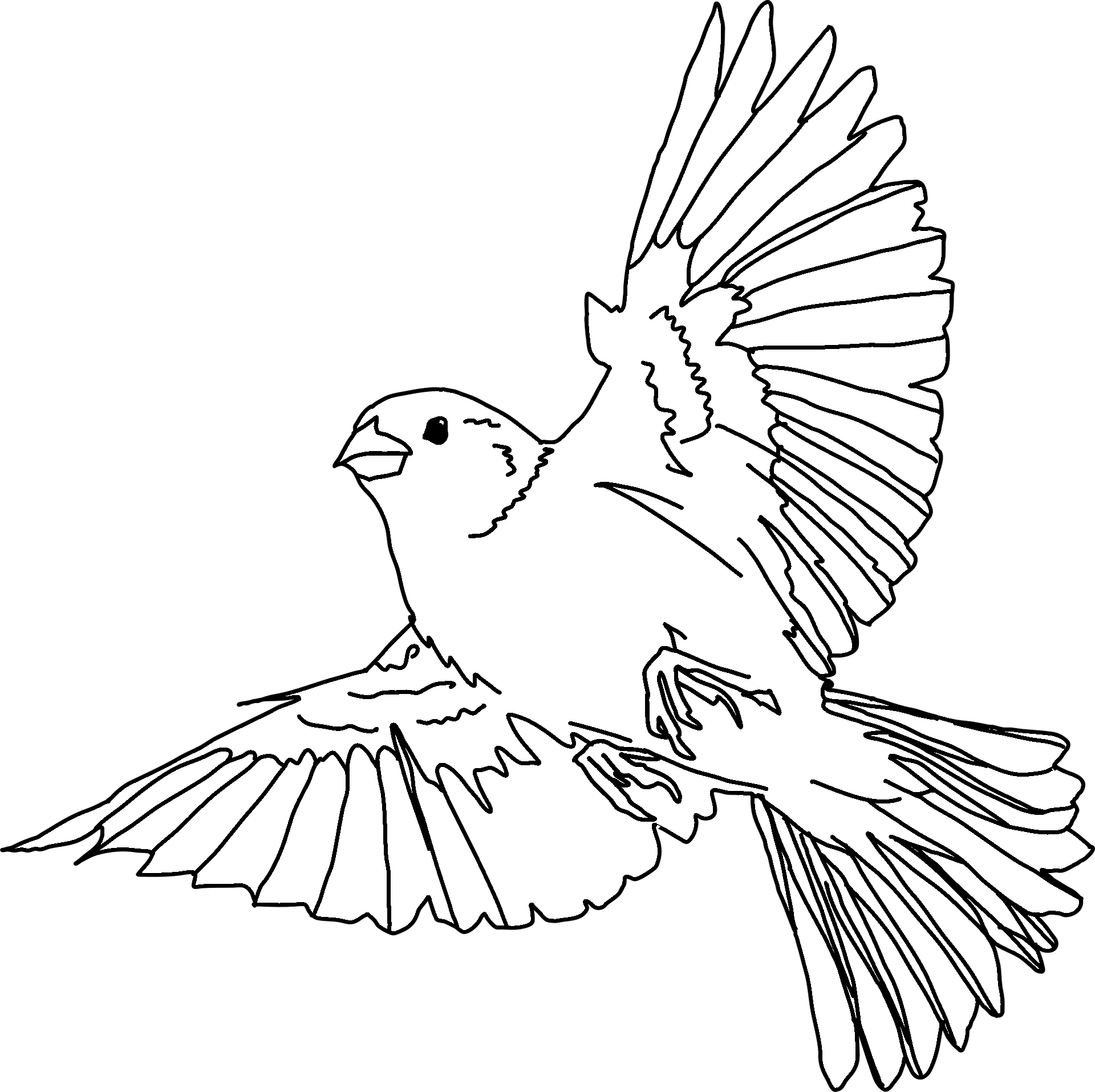 Dibujo para colorear de una paloma